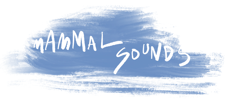 Mammal Sounds - label, management & publicity agency